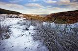 Glenariff glen 2451